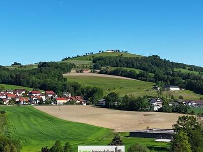 Grundstück kaufen in 4542 Nußbach (Bild 1)