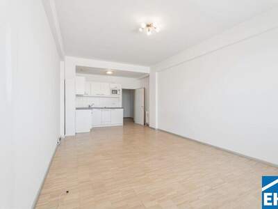 Wohnung kaufen in 1010 Wien (Bild 1)