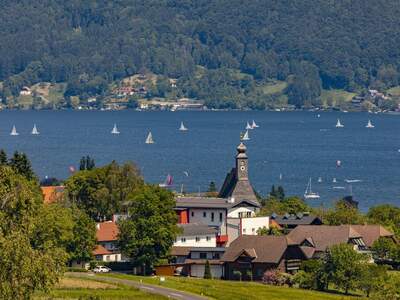 Grundstück kaufen in 4881 Straß (Bild 3)