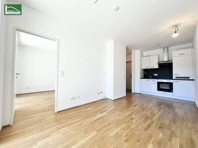Wohnung mieten in 8055 Graz