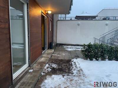 Terrassenwohnung mieten in 3400 Klosterneuburg (Bild 3)