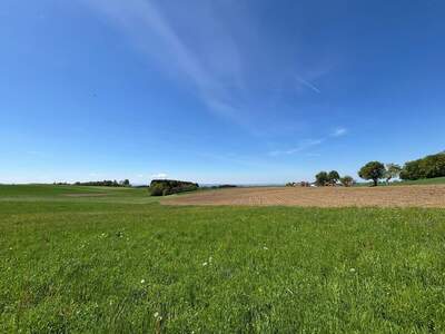 Einfamilienhaus kaufen in 4794 Kopfing