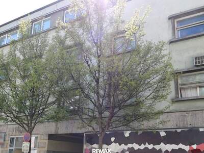 Anlageobjekt kaufen in 4600 Wels (Bild 2)