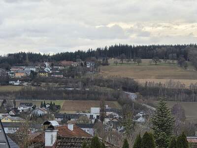 Grundstück kaufen in 4632 Pichl (Bild 3)