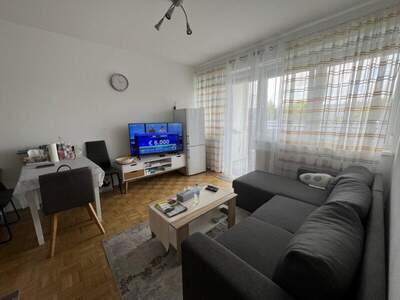 Terrassenwohnung mieten in 4040 Linz (Bild 2)