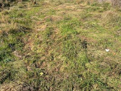 Grundstück kaufen in 2294 Marchegg (Bild 1)