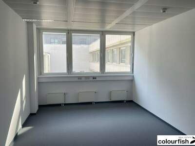 Gewerbeobjekt mieten in 1020 Wien (Bild 2)