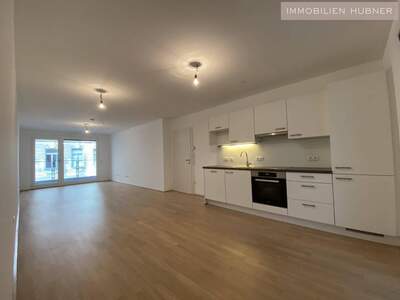 Wohnung mieten in 1060 Wien