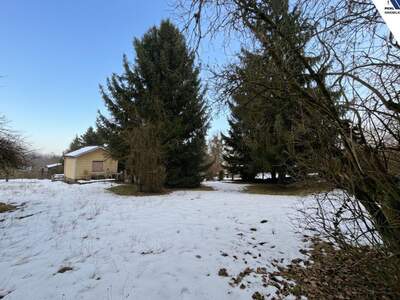 Gewerbeobjekt kaufen in 4060 Leonding (Bild 4)