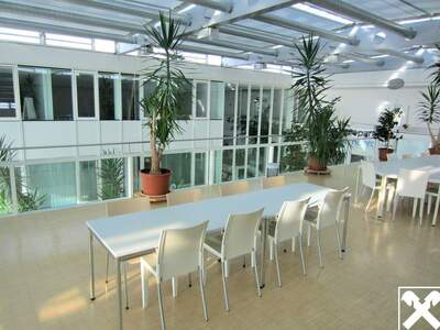 Gewerbeobjekt mieten in 4232 Hagenberg (Bild 2)