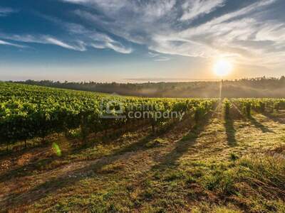 Gewerbeobjekt kaufen in 1100 Wien