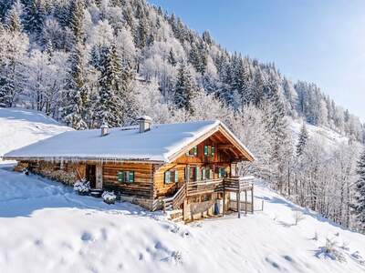 Berghütte mieten in 5771 Leogang