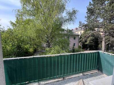 Wohnung mieten in 2500 Baden