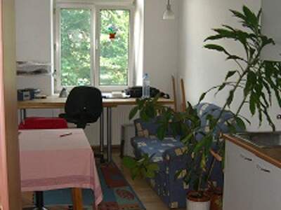 Altbauwohnung kaufen in 8020 Graz (Bild 5)