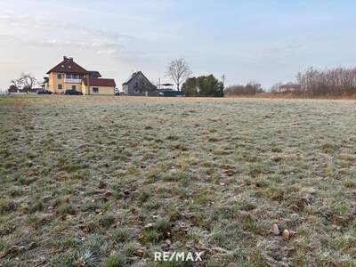 Grundstück kaufen in 4975 Suben