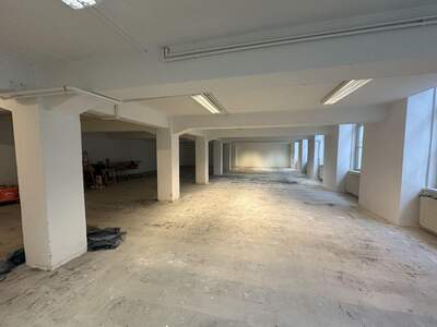 Gewerbeobjekt mieten in 1020 Wien (Bild 4)