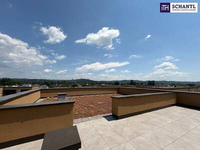 Terrassenwohnung kaufen in 8401 Kalsdorf (Bild 5)
