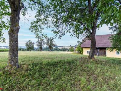 Haus kaufen in 4632 Pichl (Bild 5)