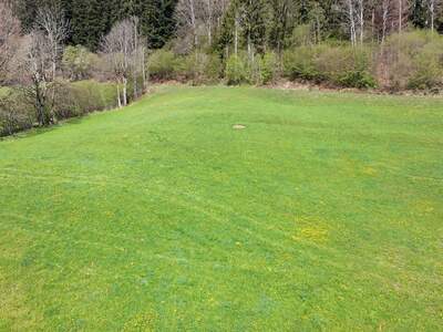 Grundstück kaufen in 6306 Söll (Bild 5)