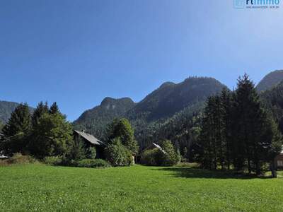Grundstück kaufen in 4824 Gosau