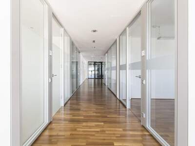 Gewerbeobjekt mieten in 5020 Salzburg (Bild 4)