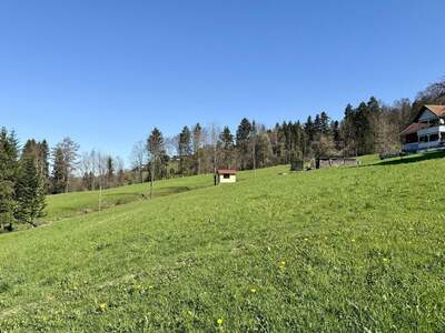 Gewerbeobjekt kaufen in 6850 Dornbirn (Bild 3)