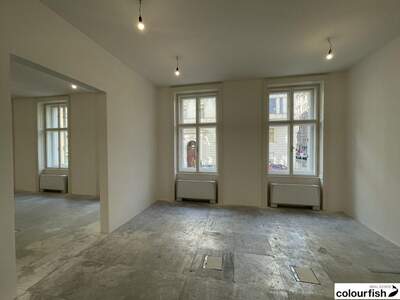 Gewerbeobjekt mieten in 1010 Wien (Bild 4)