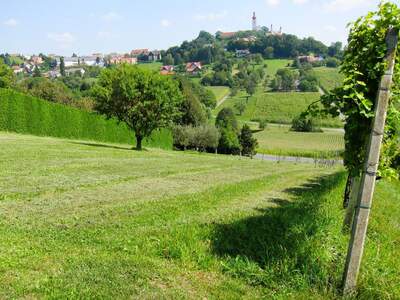 Grundstück kaufen in 8345 Straden (Bild 2)
