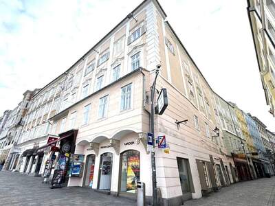 Gewerbeobjekt mieten in 4020 Linz (Bild 3)