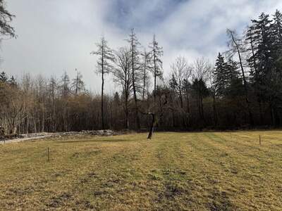 Grundstück provisionsfrei kaufen in 6232 Münster