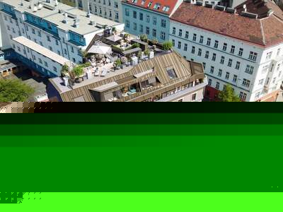 Altbauwohnung kaufen in 1090 Wien (Bild 3)