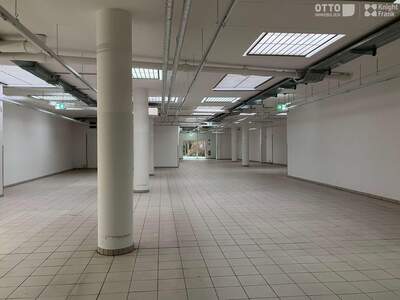 Gewerbeobjekt mieten in 1210 Wien (Bild 4)