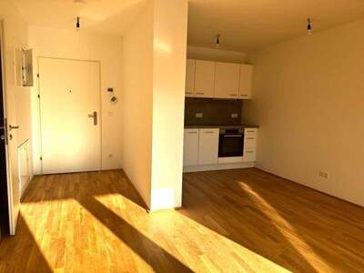 Wohnung mieten in 1220 Wien