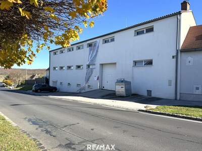 Haus mit Garten kaufen in 7053 Hornstein