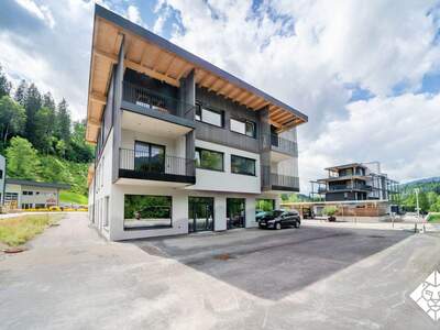 Gewerbeobjekt mieten in 6361 Hopfgarten (Bild 5)