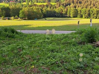 Grundstück kaufen in 9562 Himmelberg
