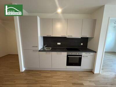 Terrassenwohnung mieten in 1200 Wien (Bild 5)