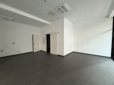 Gewerbeobjekt mieten in 8055 Graz (Bild 4)