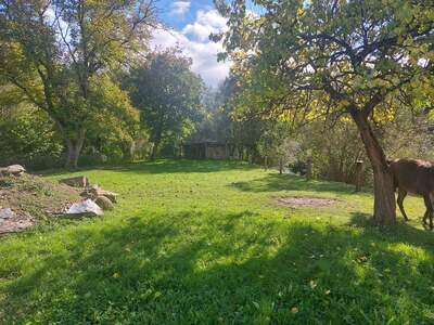 Bauernhaus kaufen in 3653 Weiten (Bild 1)