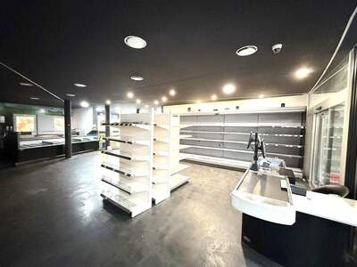 Gewerbeobjekt mieten in 1220 Wien (Bild 3)