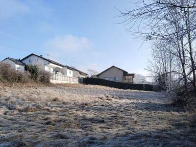 Grundstück kaufen in 4073 Wilhering (Bild 2)