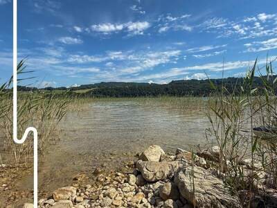 Grundstück kaufen in 5163 Mattsee