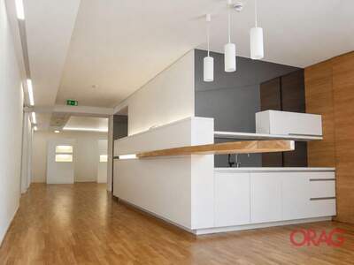 Gewerbeobjekt mieten in 1010 Wien (Bild 2)