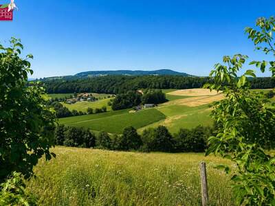Grundstück kaufen in 8353 Kapfenstein (Bild 2)