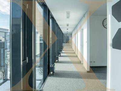 Büro / Praxis mieten in 4600 Wels (Bild 1)