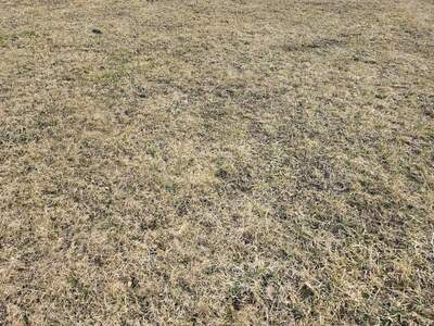 Grundstück kaufen in 8114 Großstübing