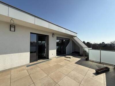 Terrassenwohnung kaufen in 1220 Wien (Bild 4)