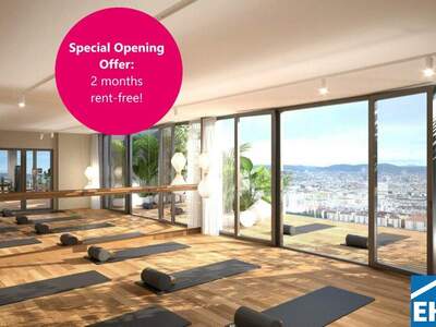 Terrassenwohnung mieten in 1200 Wien (Bild 1)