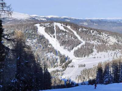 Anlageobjekt kaufen in 9571 Hochrindl