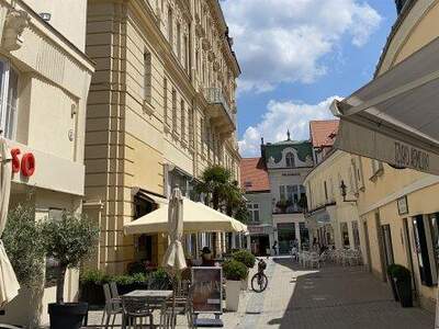 Büro / Praxis mieten in 2500 Baden (Bild 2)